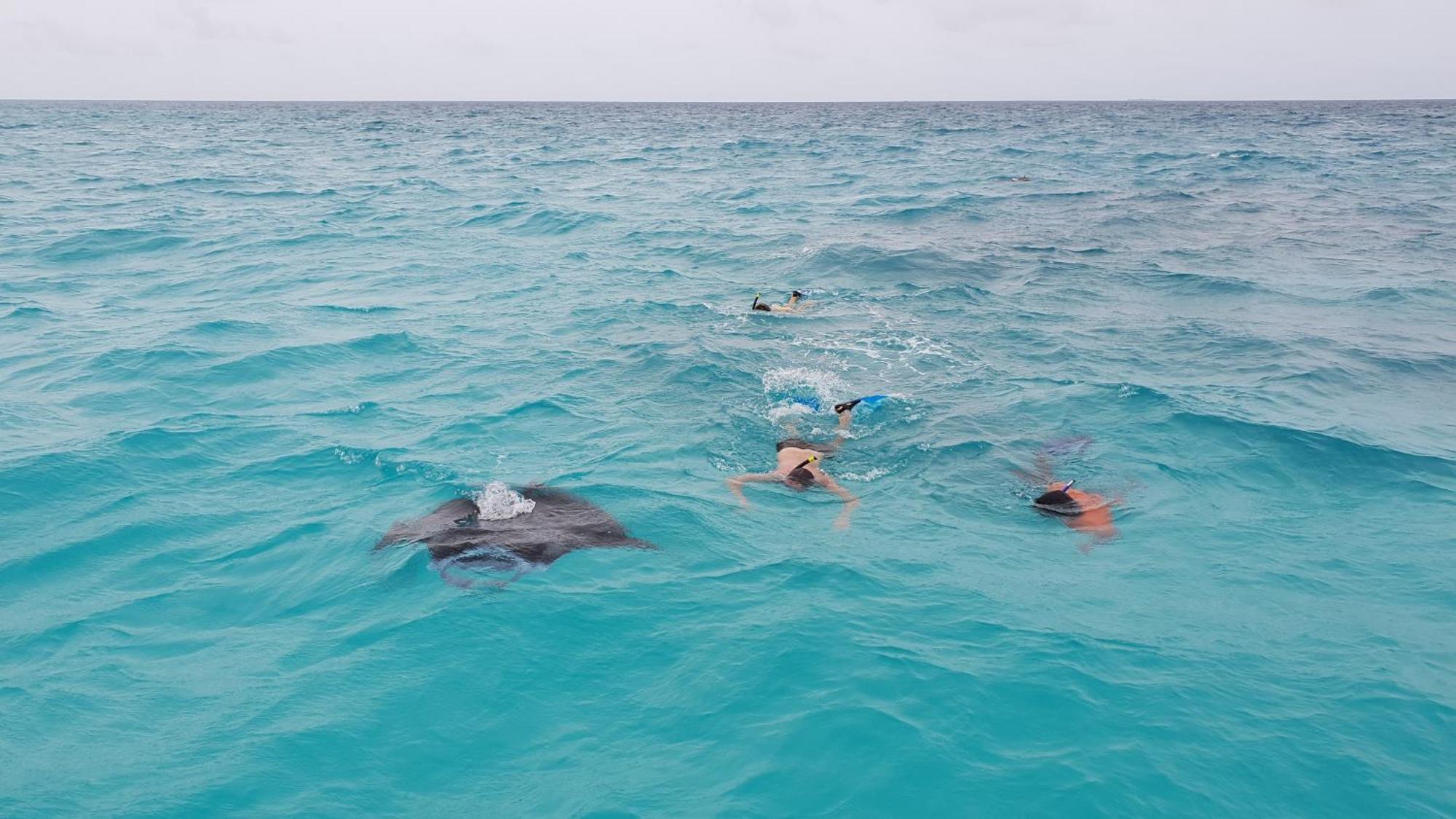 Arista Villa Ukulhas Dış mekan fotoğraf